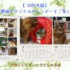 【2025年版】我が家の愛猫オリジナルカレンダーをご覧ください！