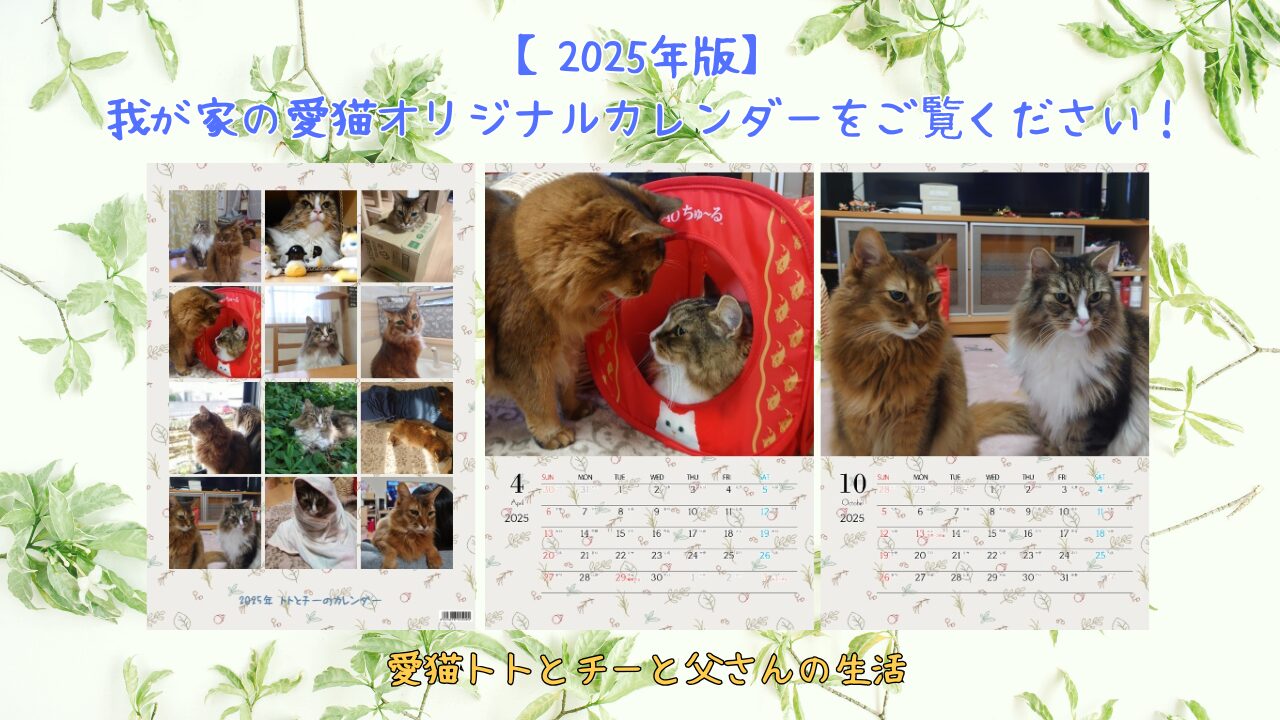 【2025年版】我が家の愛猫オリジナルカレンダーをご覧ください！